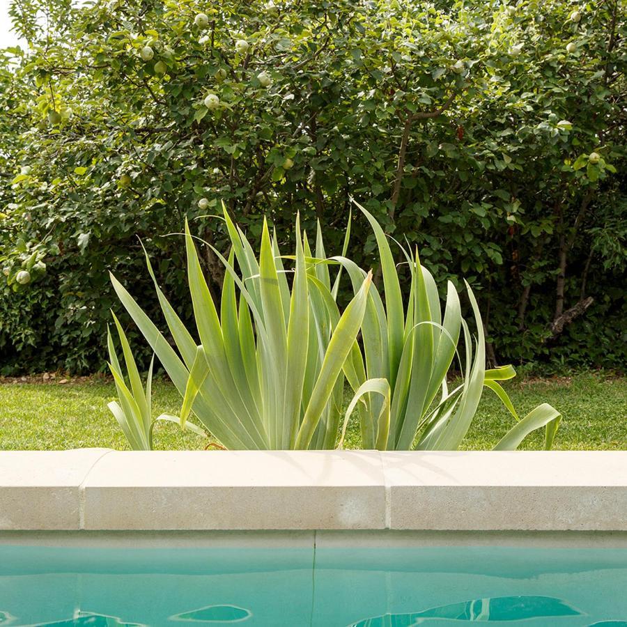 Bed and Breakfast La Bastide Jouval Gordes Esterno foto